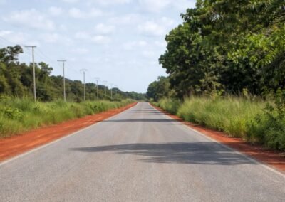 Kiang West Road Project