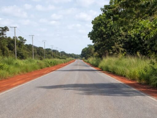 Kiang West Road Project